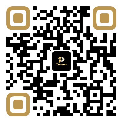 iOS Version